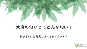 weed-smell-eyecatch